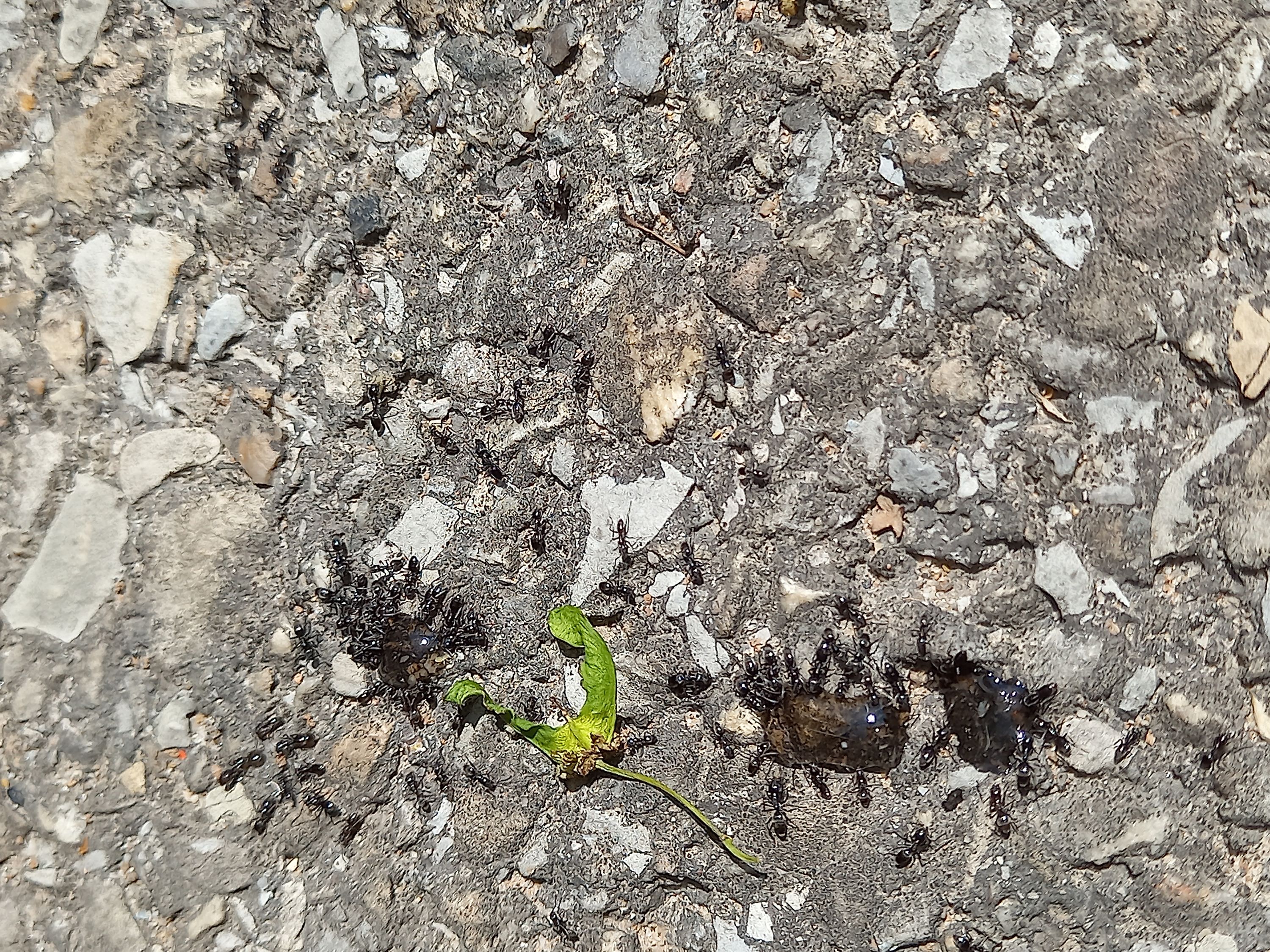 Foto 14 di NGAN RHÔNE