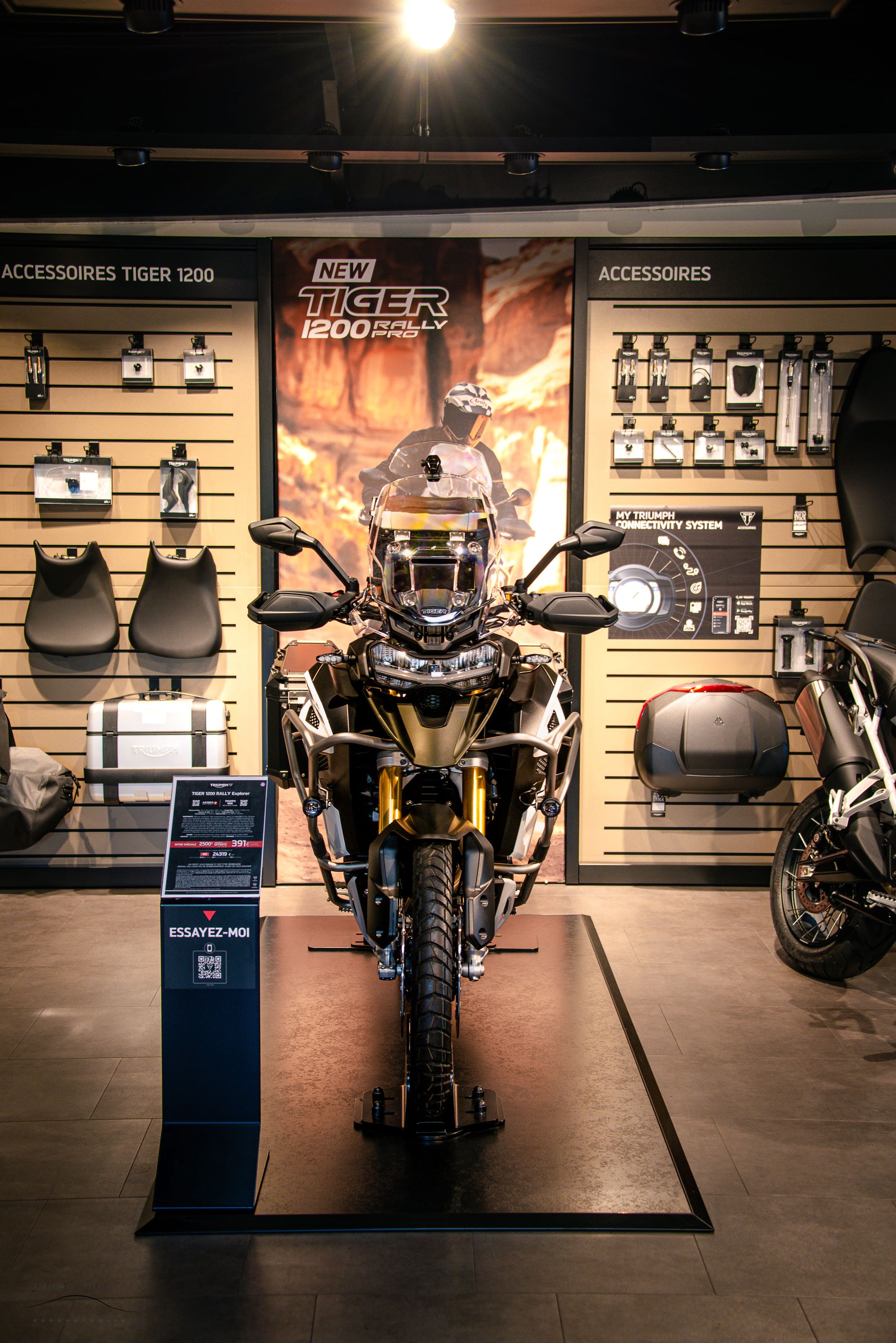 Foto 18 di TRIUMPH ANGERS