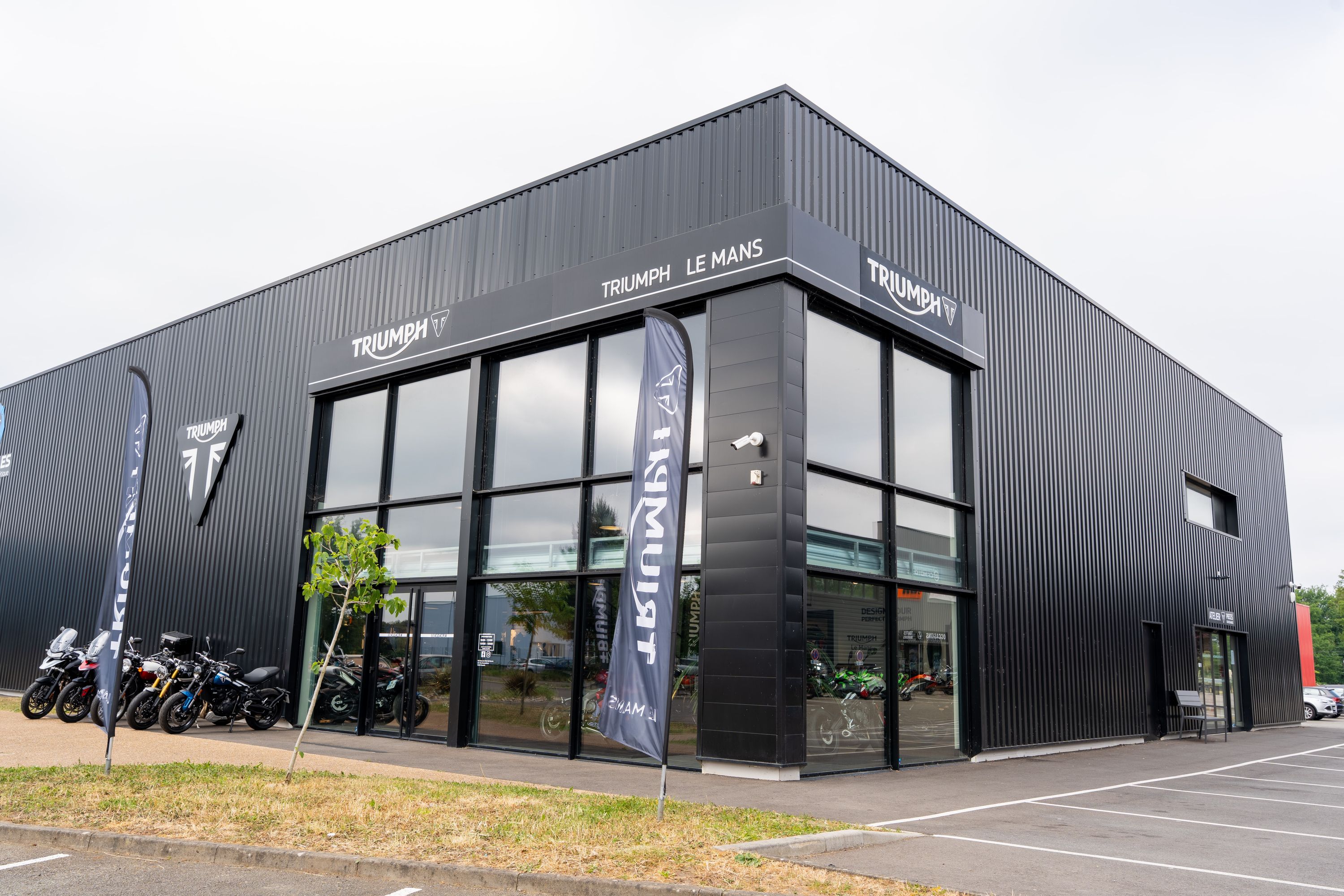Foto 3 di Triumph Le Mans