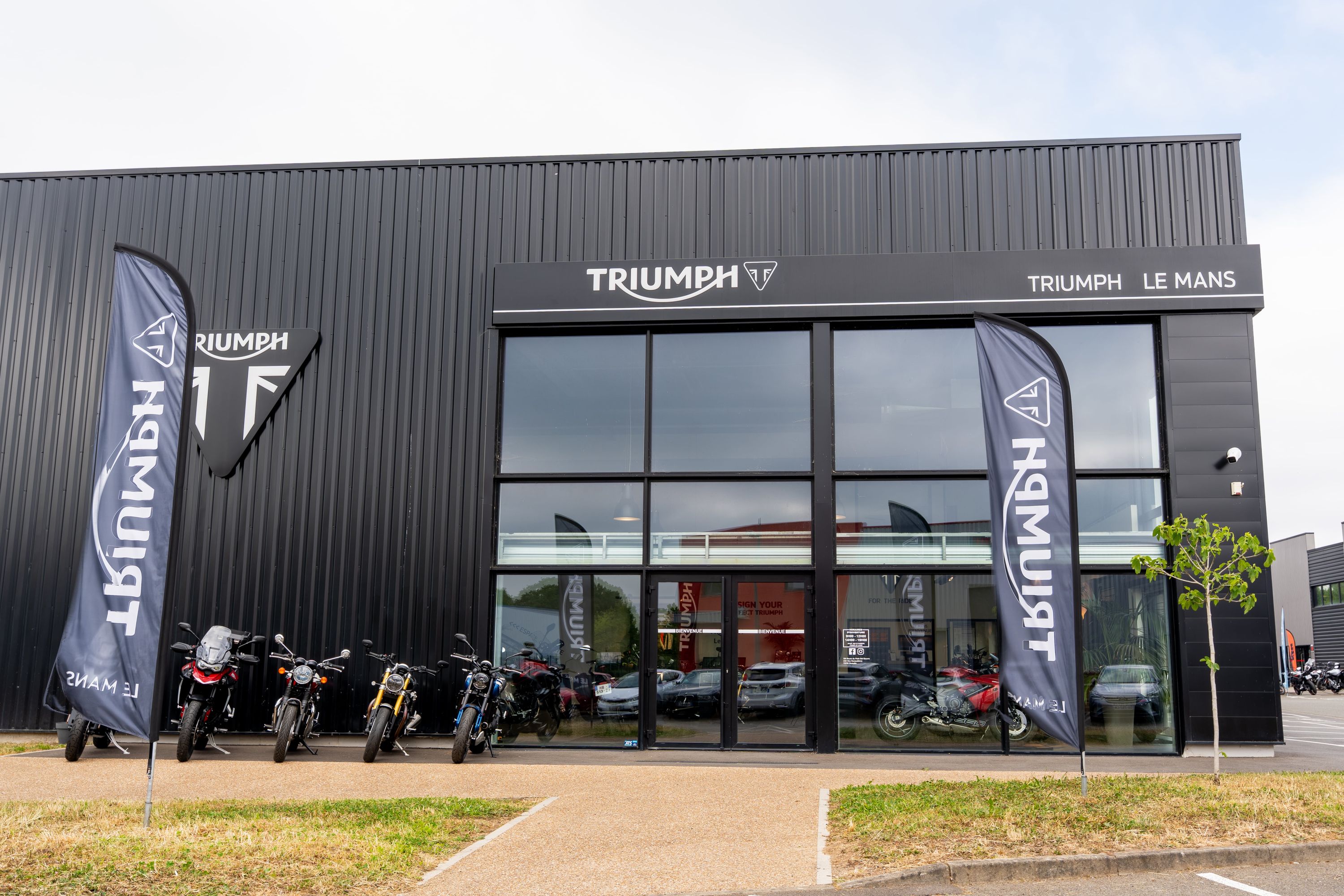 Foto 10 di Triumph Le Mans