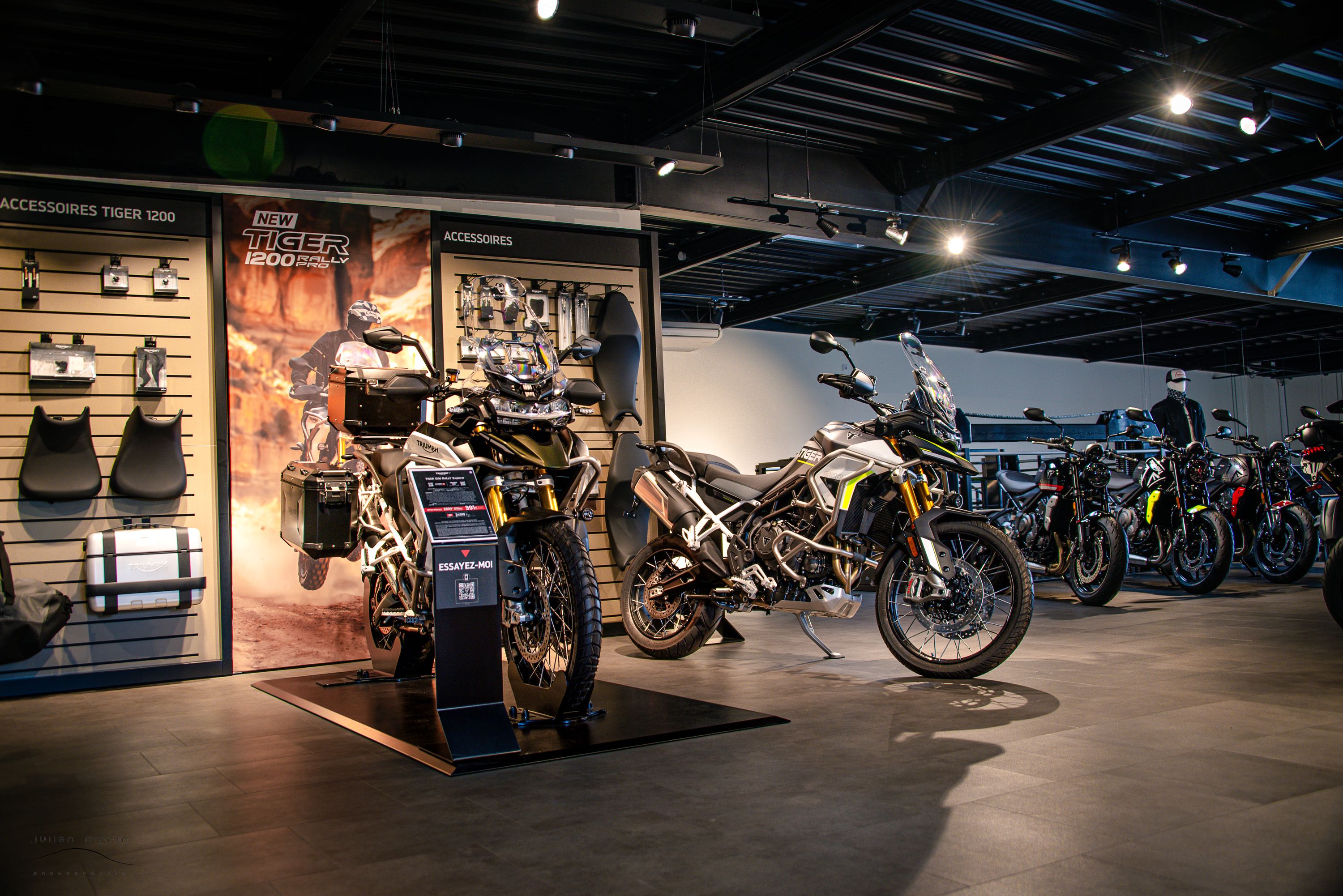 Foto 17 di TRIUMPH ANGERS