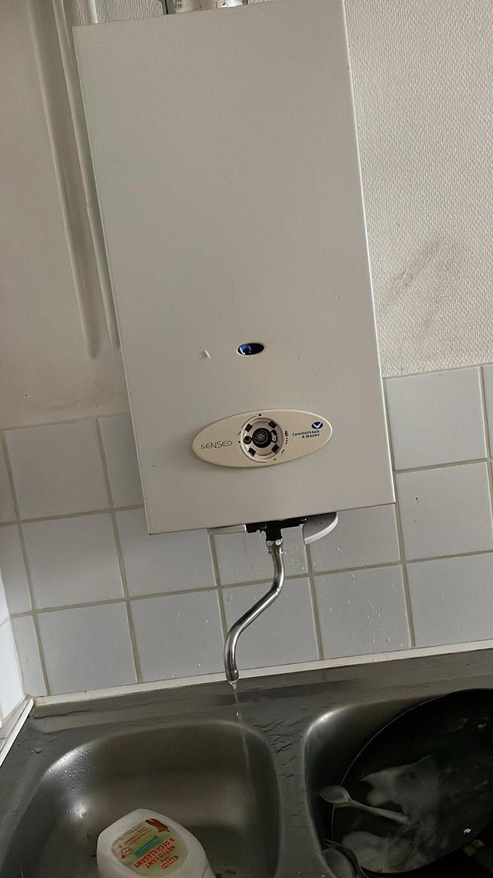 Foto 41 di Proxy Panne
