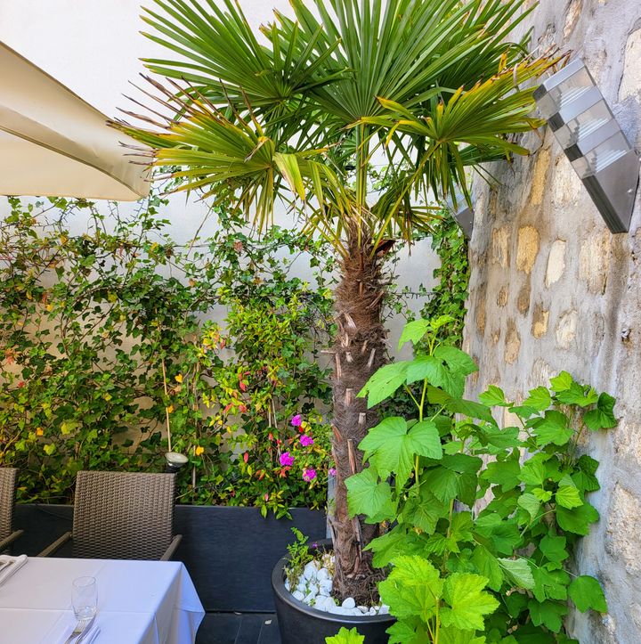 RESTAURANT ABSOLU VINCENNES