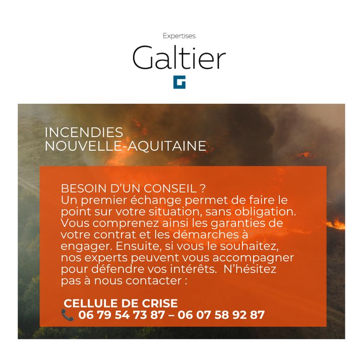 Foto 3 di EXPERTISES GALTIER