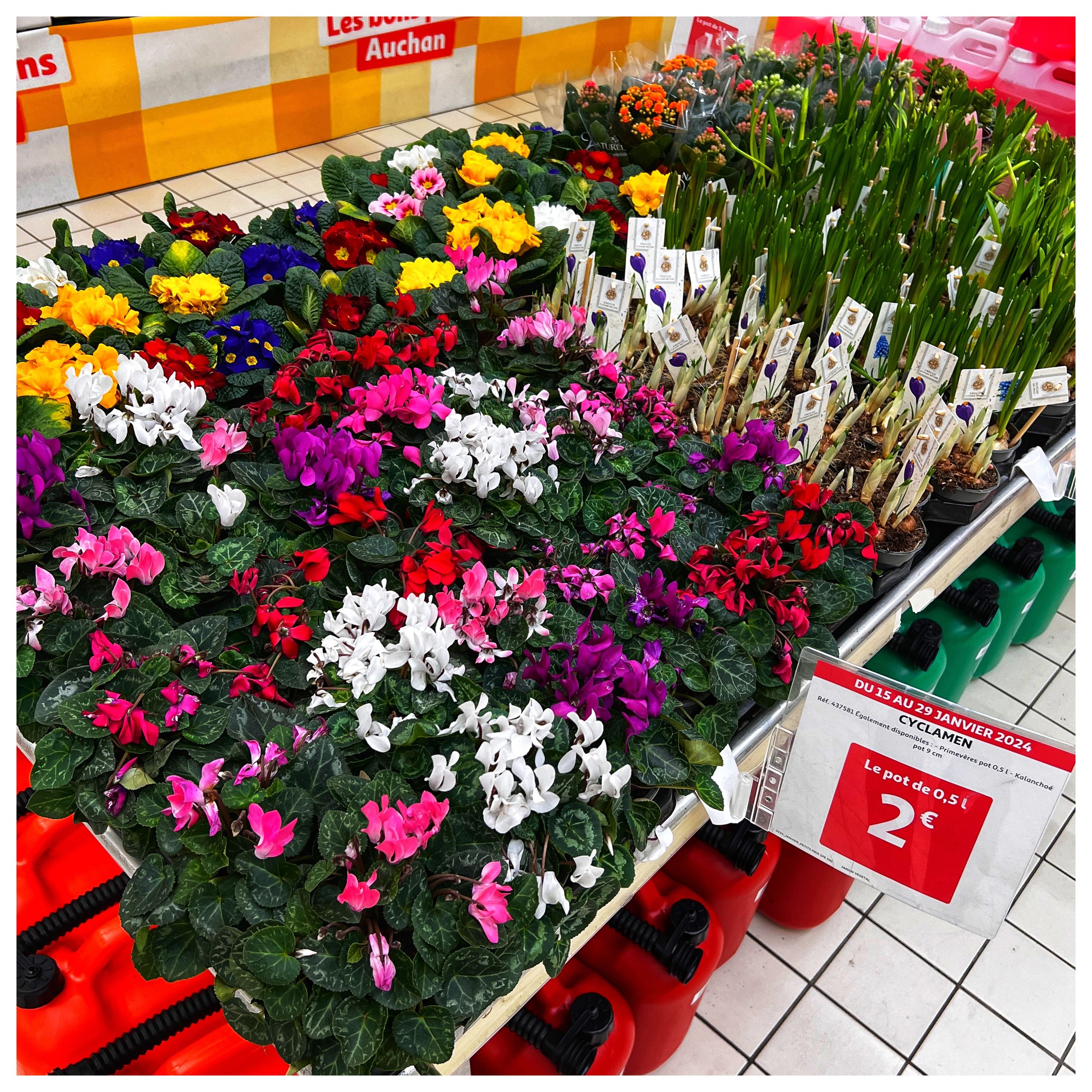 Foto 1467 di Auchan Hypermarché Châtellerault