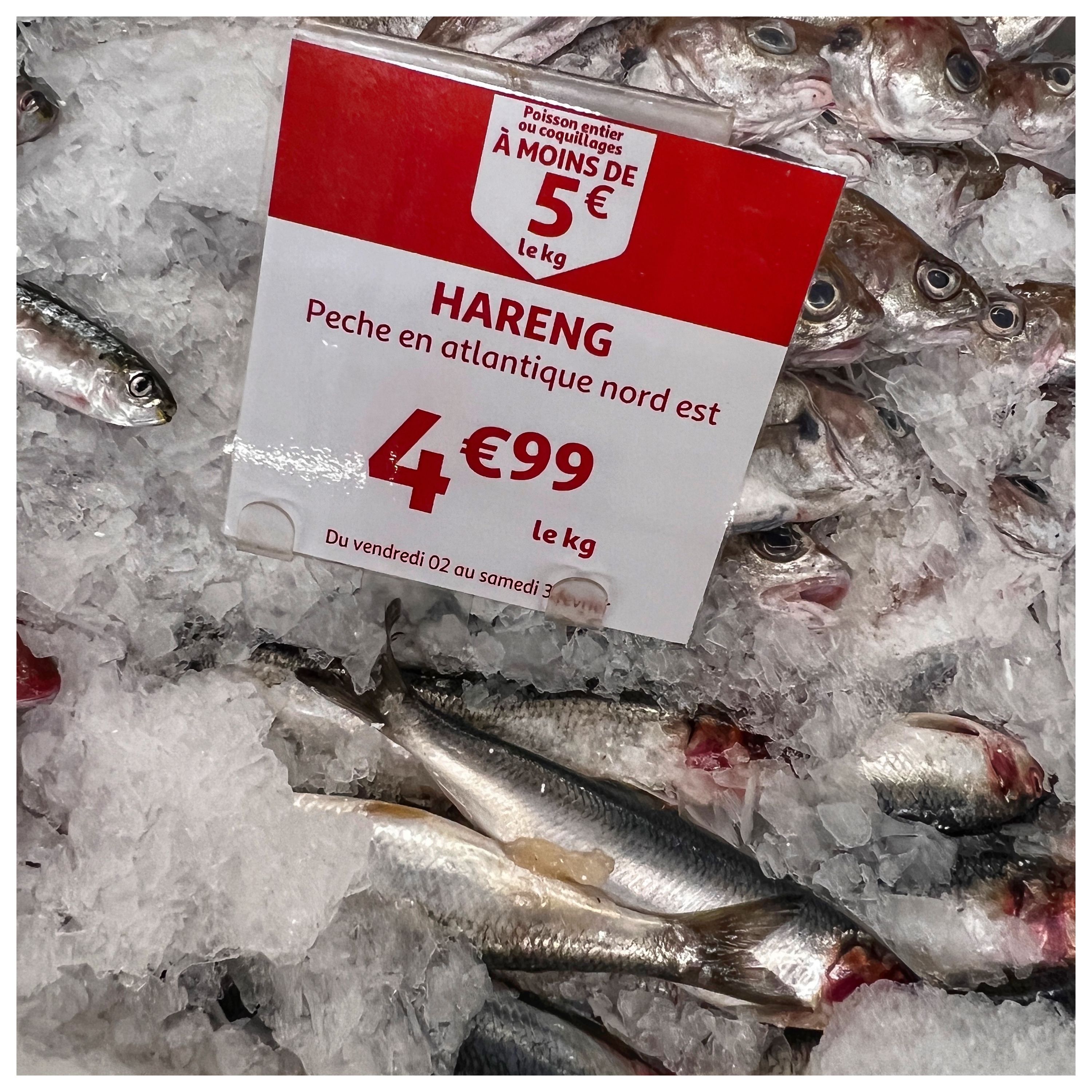 Foto 1724 di Auchan Hypermarché Châtellerault