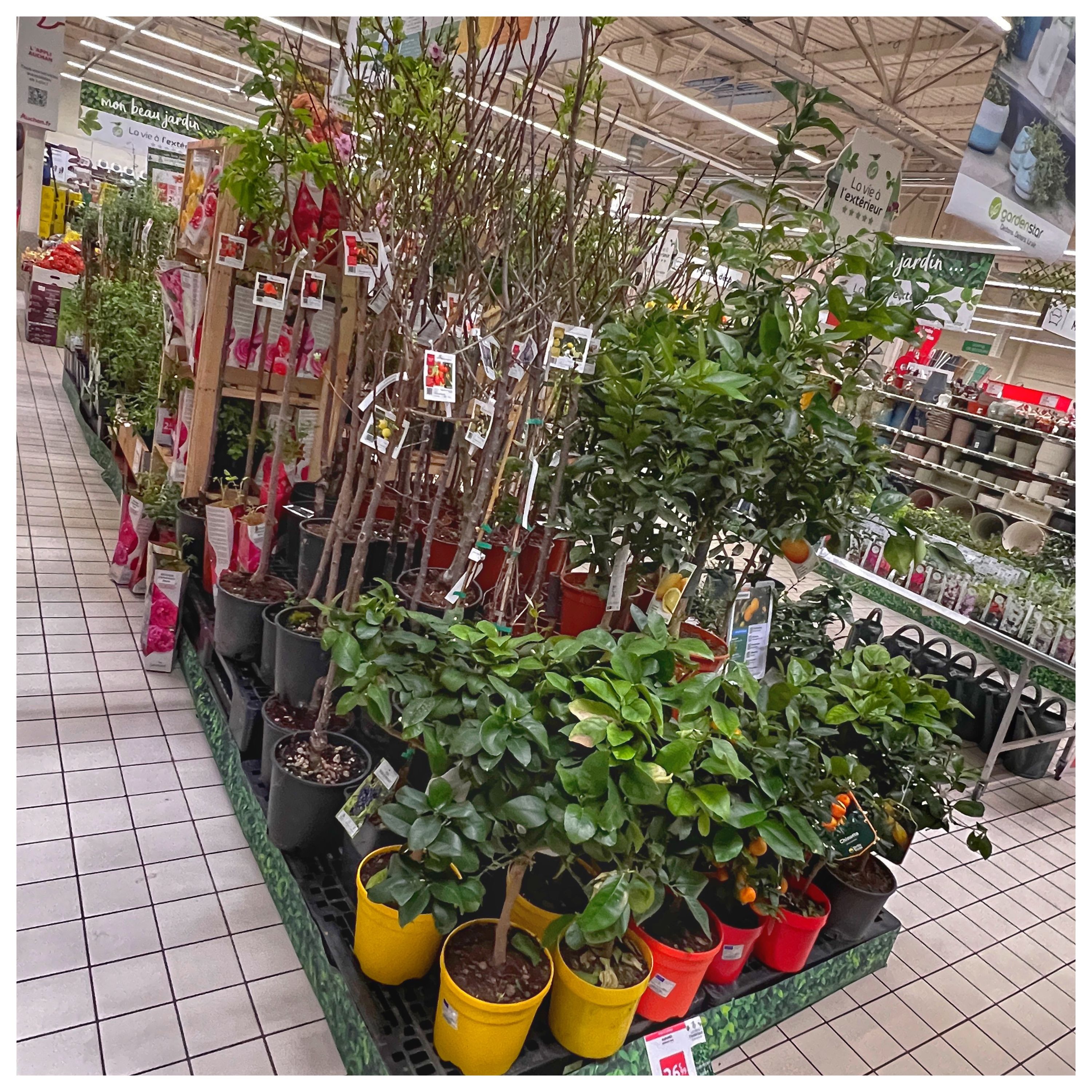 Foto 946 di Auchan Hypermarché Châtellerault