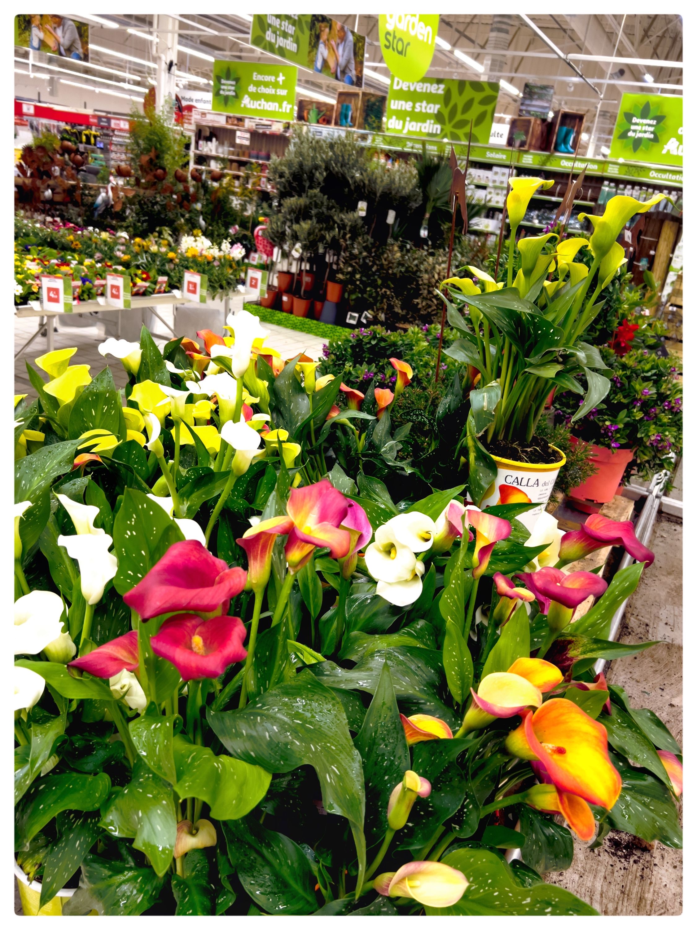 Foto 455 di Auchan Hypermarché Châtellerault