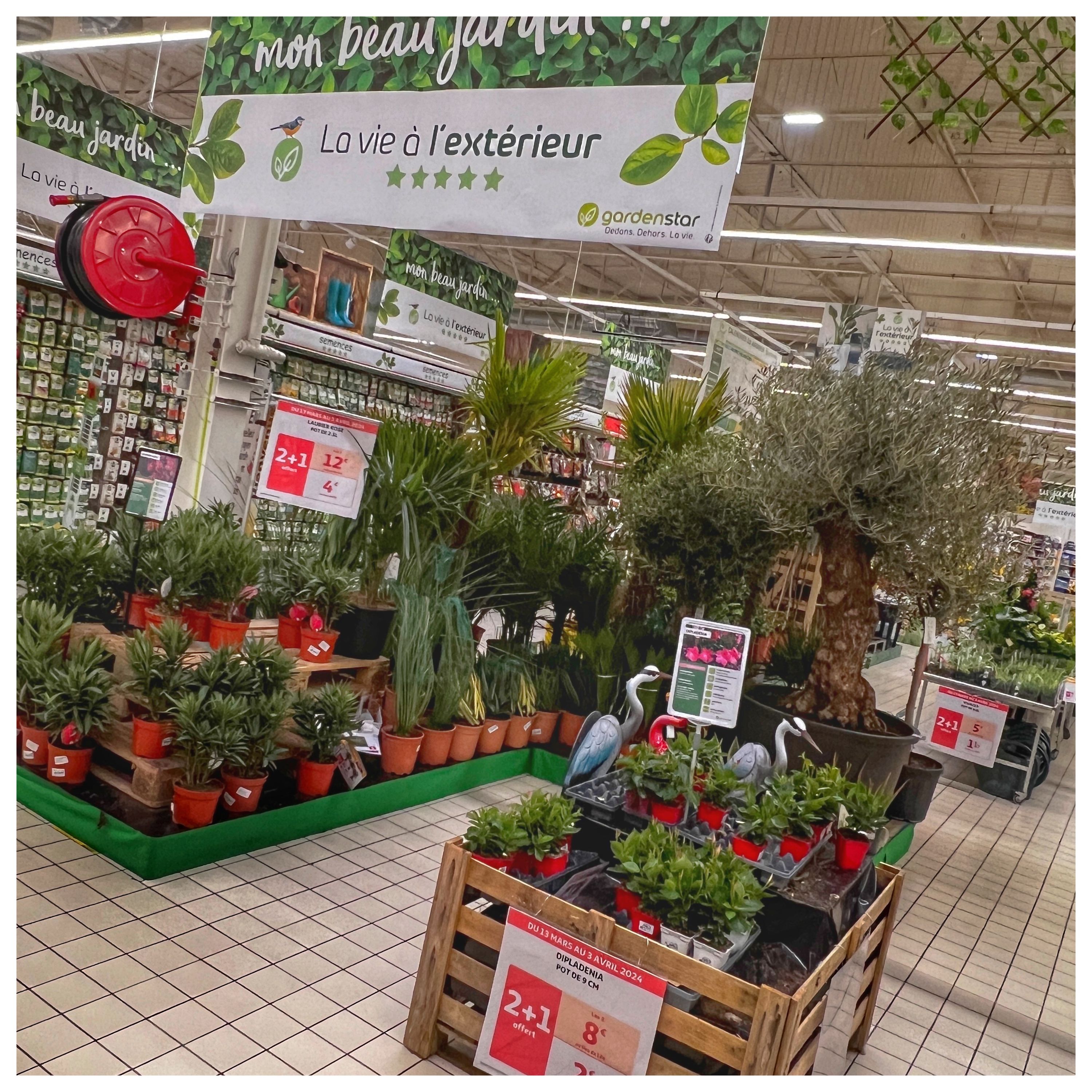 Foto 1731 di Auchan Hypermarché Châtellerault