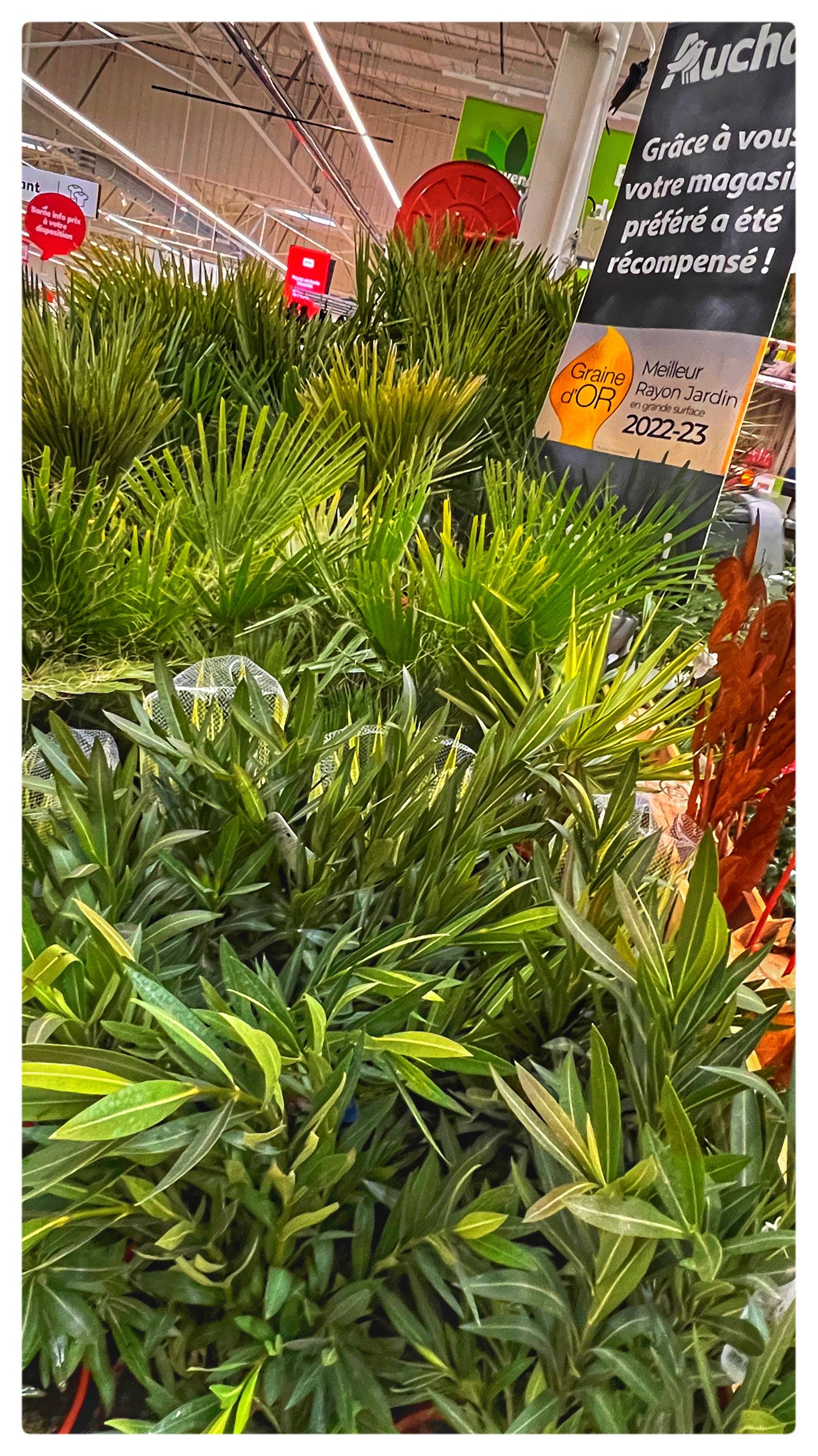 Foto 253 di Auchan Hypermarché Châtellerault