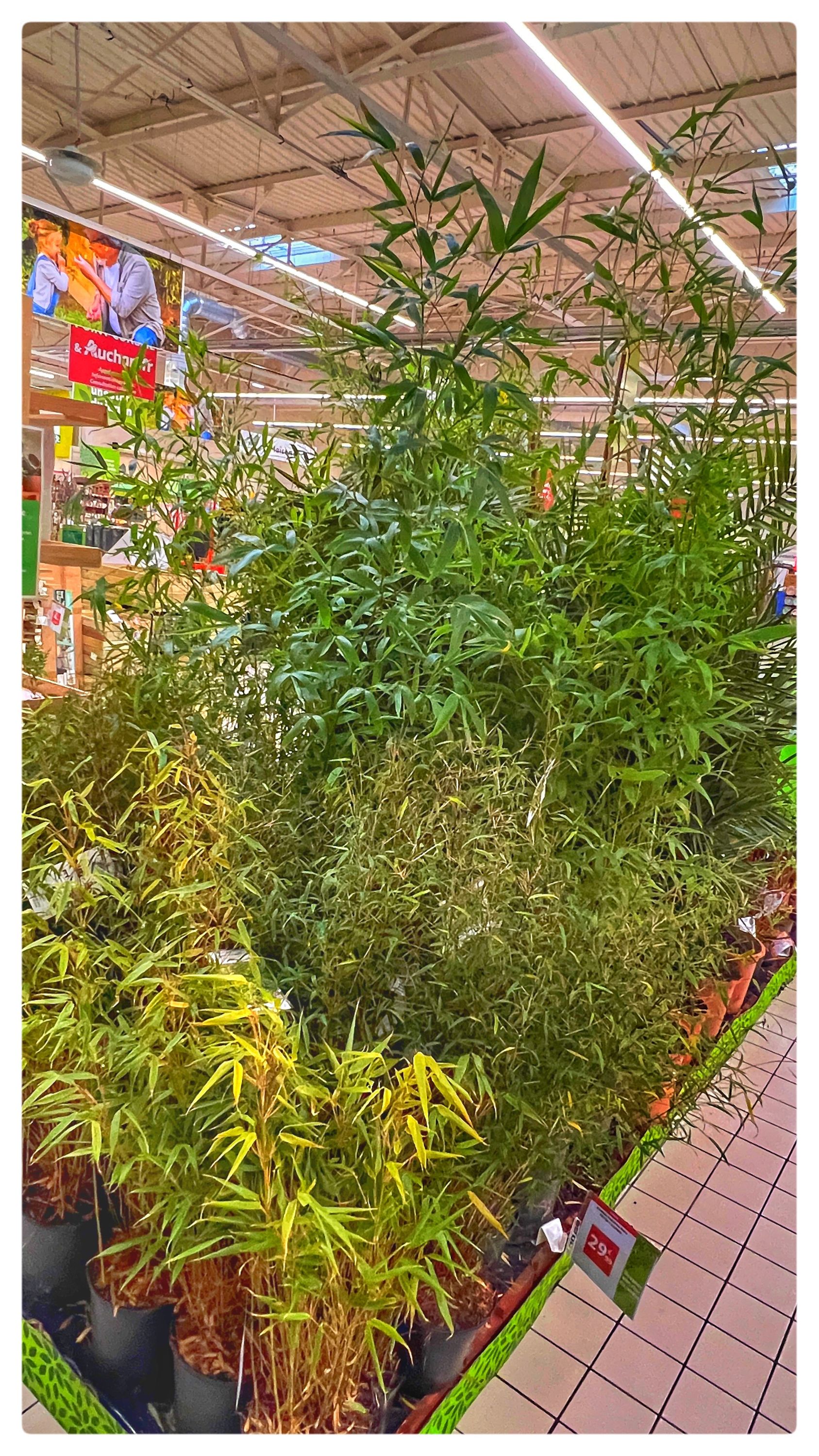 Foto 254 di Auchan Hypermarché Châtellerault