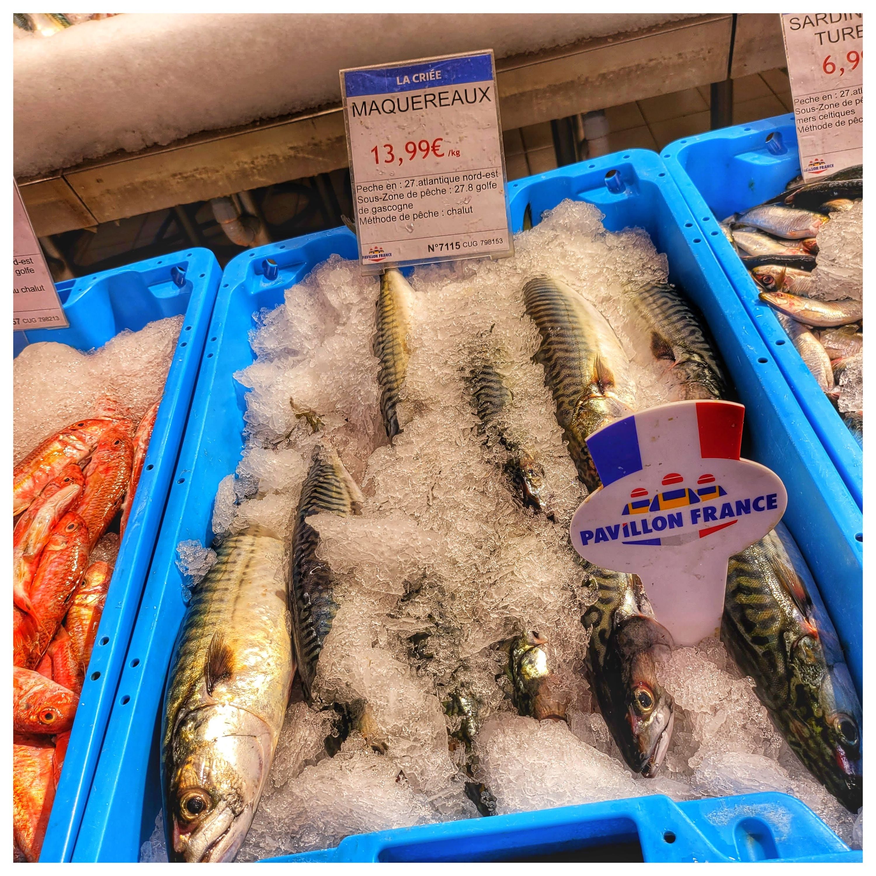 Foto 264 di Auchan Hypermarché Châtellerault