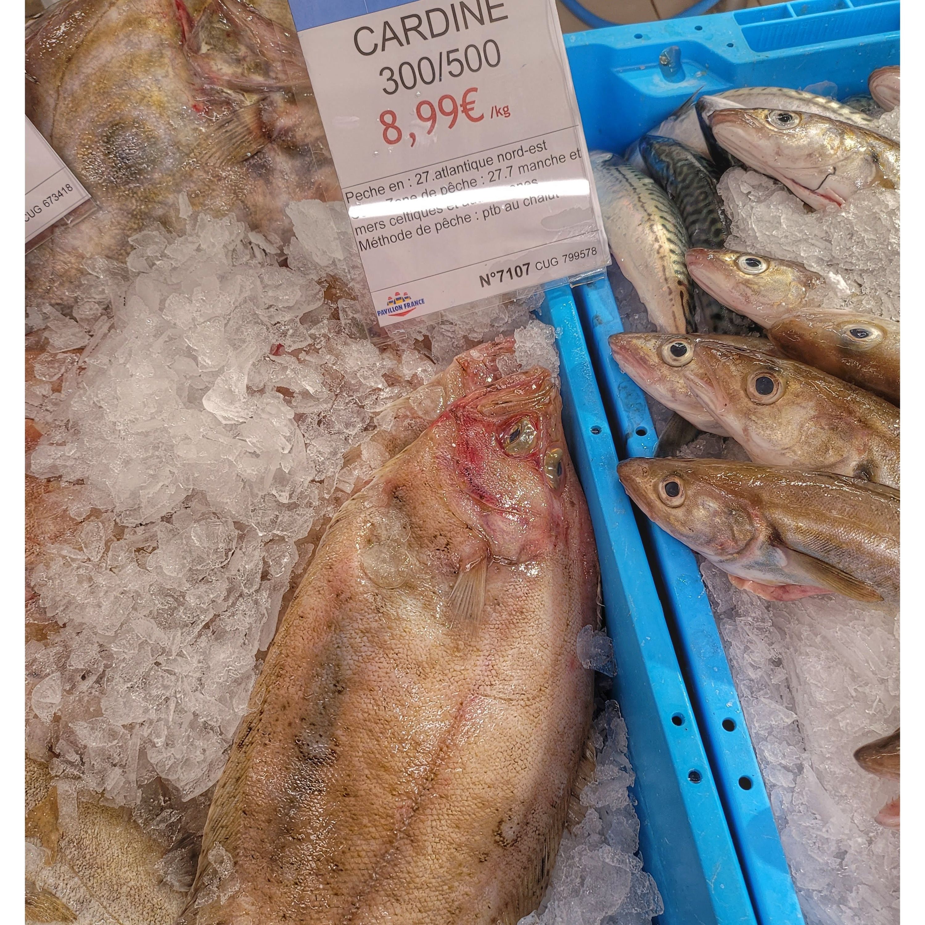 Foto 129 di Auchan Hypermarché Châtellerault