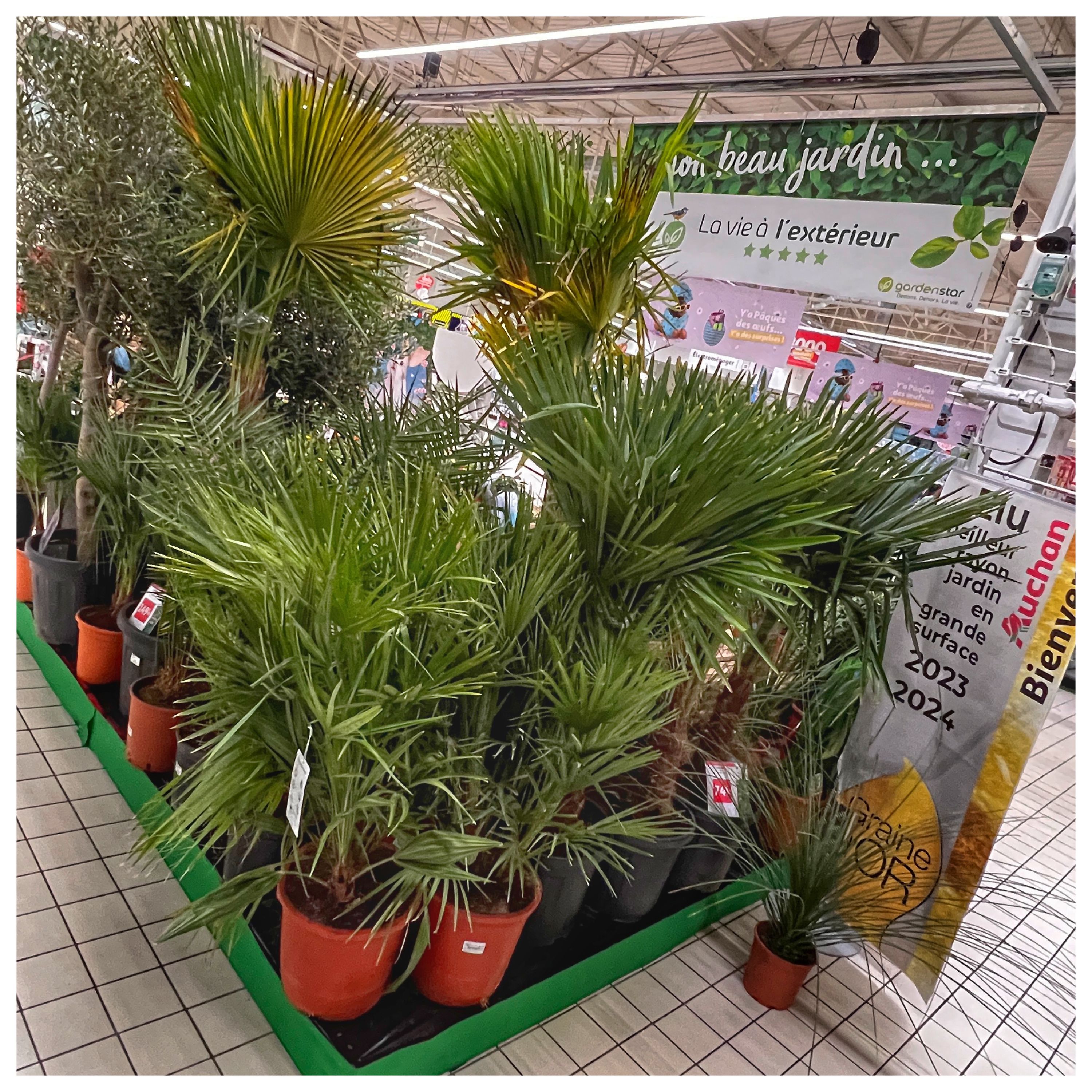 Foto 927 di Auchan Hypermarché Châtellerault