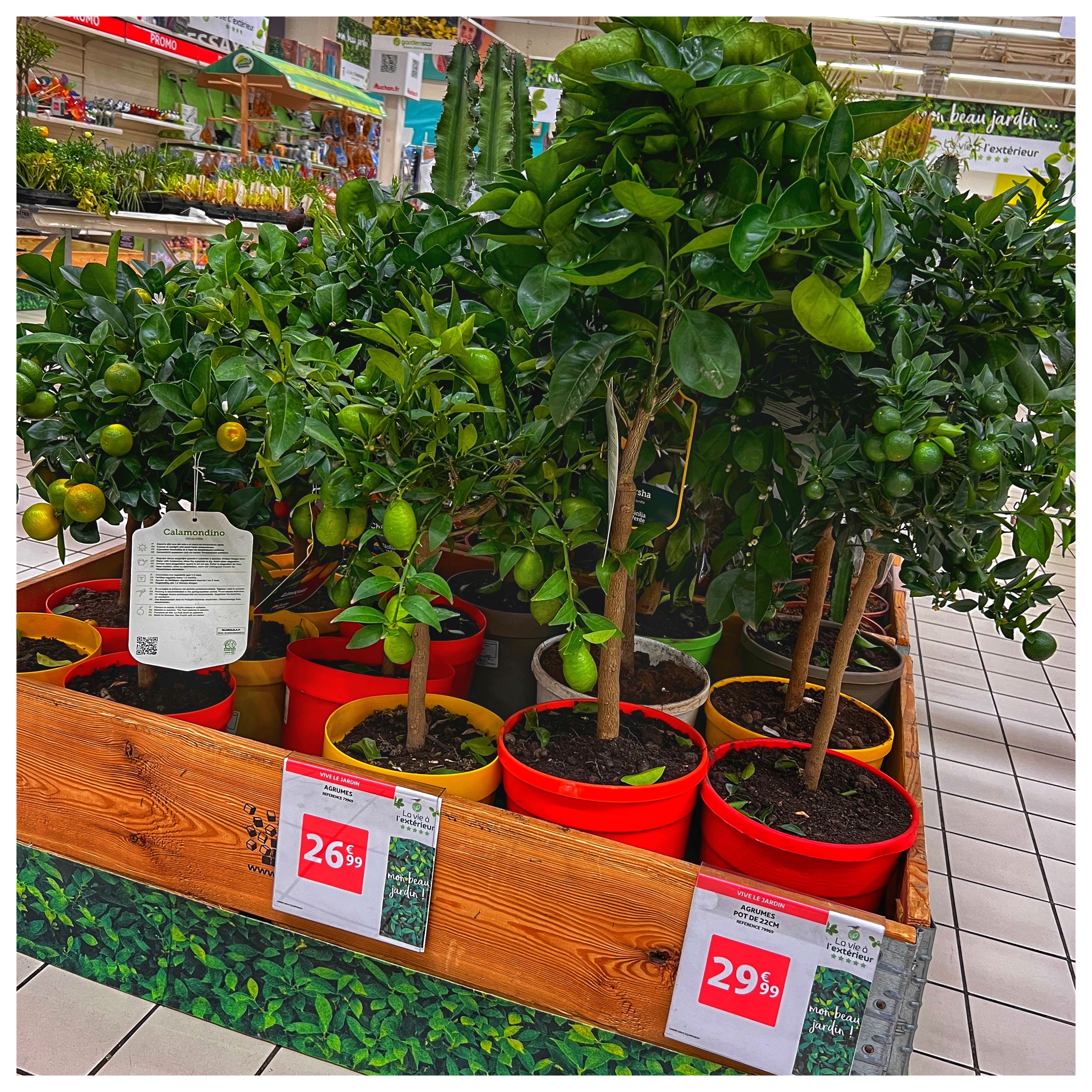 Foto 1872 di Auchan Hypermarché Châtellerault