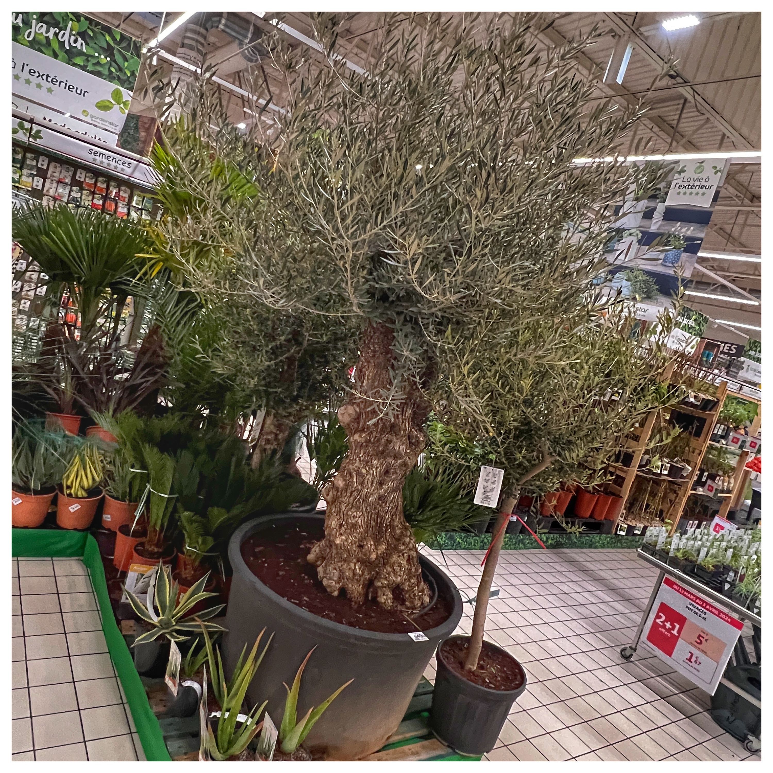 Foto 983 di Auchan Hypermarché Châtellerault