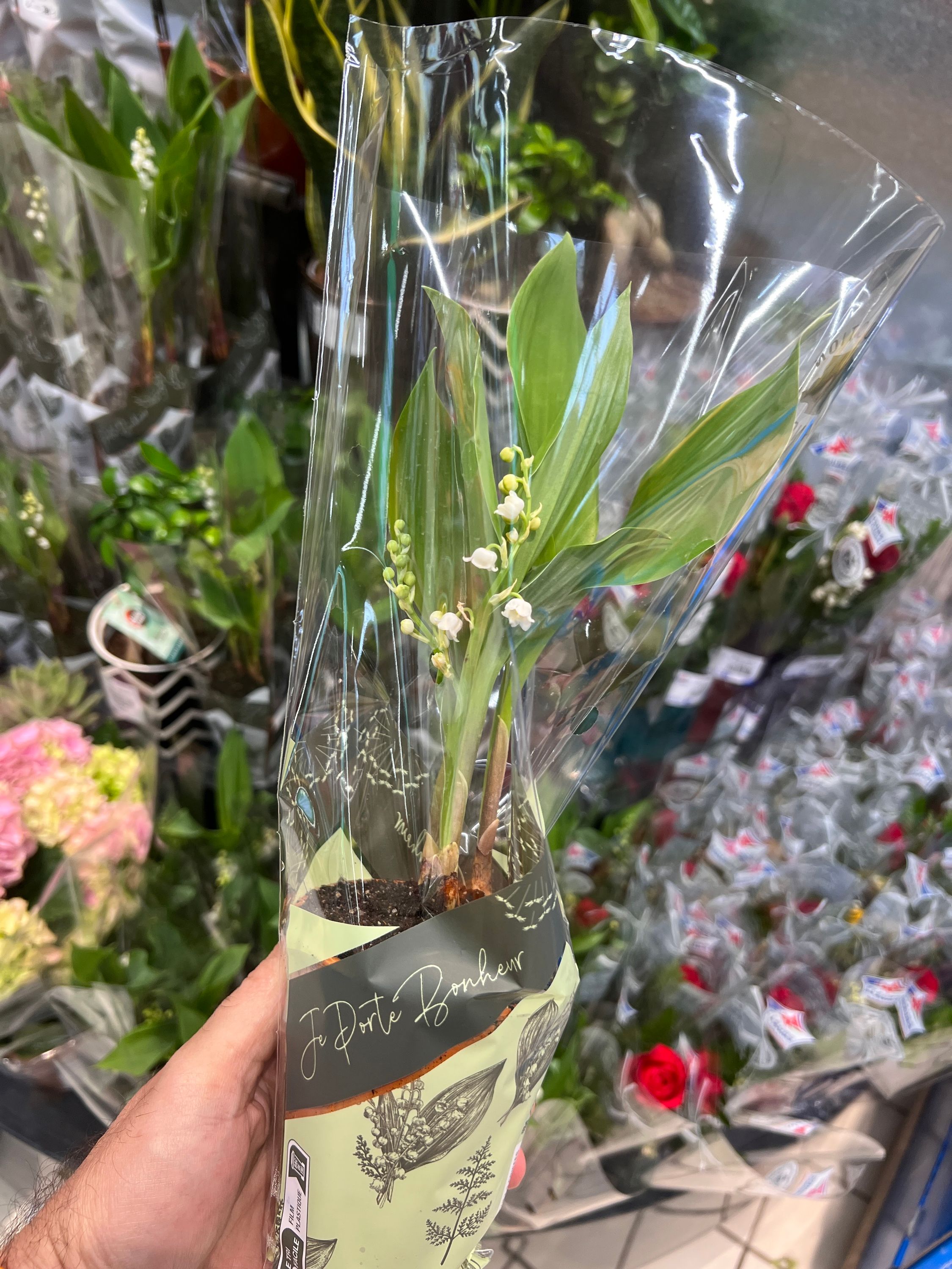 Foto 858 di Auchan Hypermarché Châtellerault