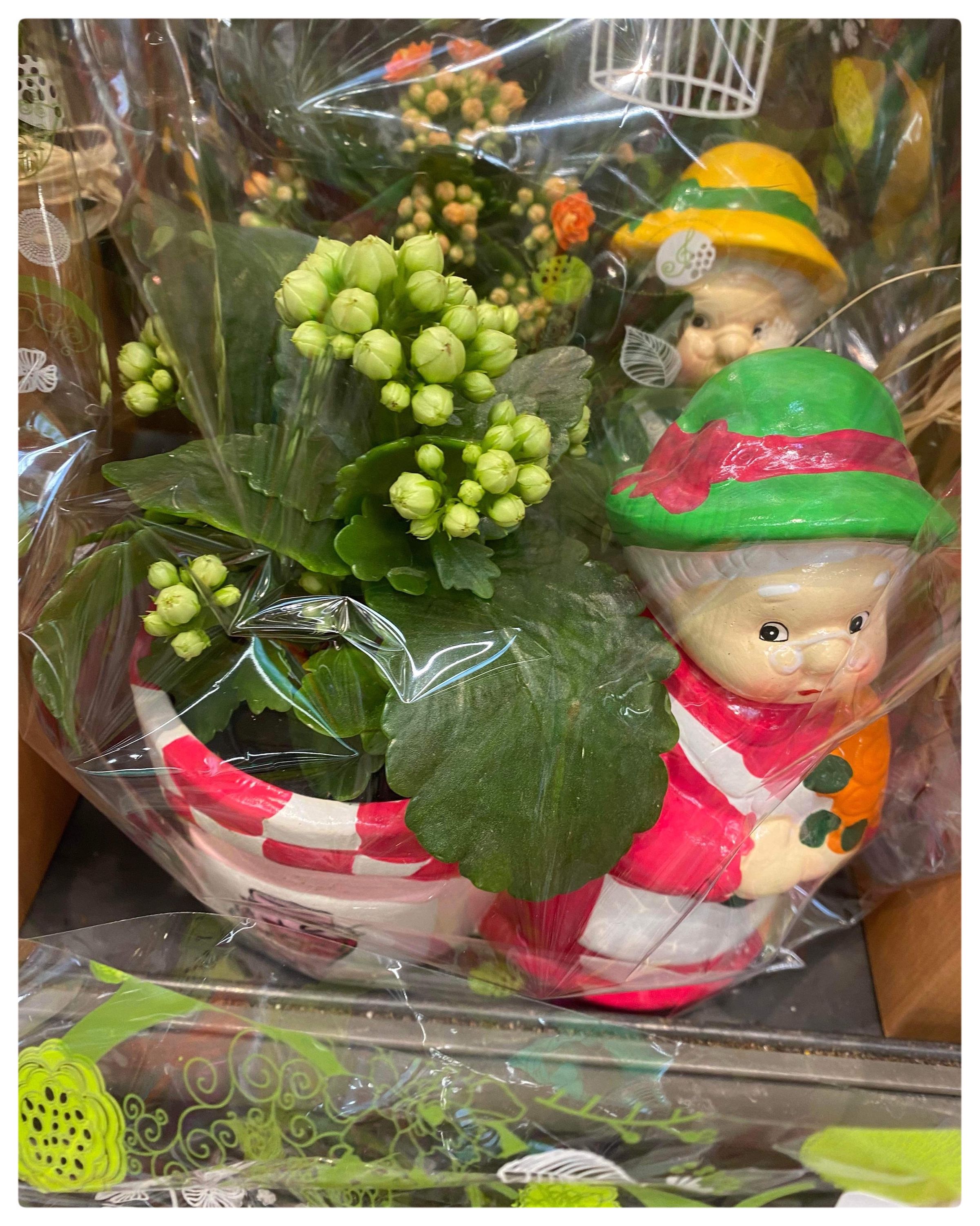 Foto 404 di Auchan Hypermarché Châtellerault