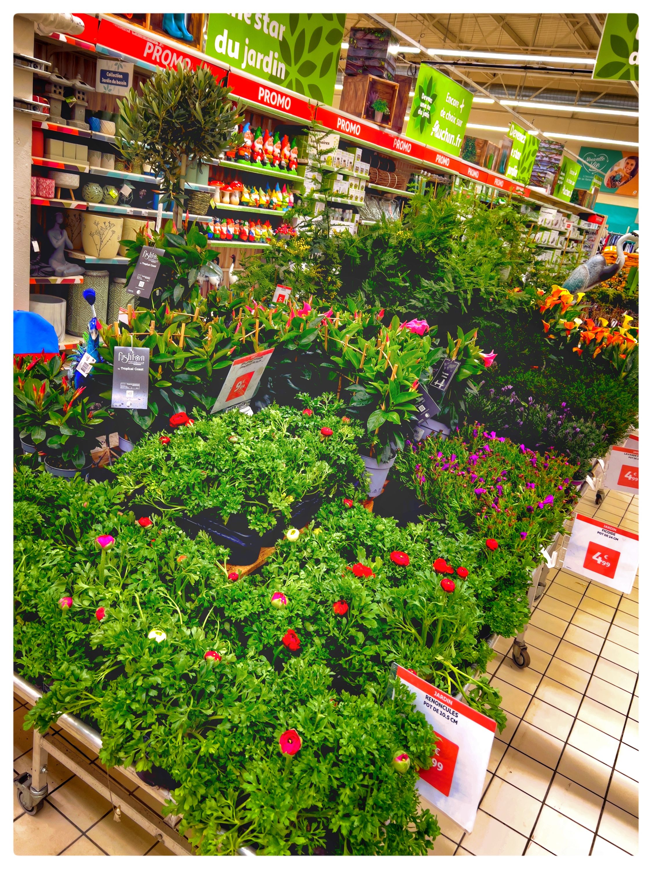 Foto 199 di Auchan Hypermarché Châtellerault