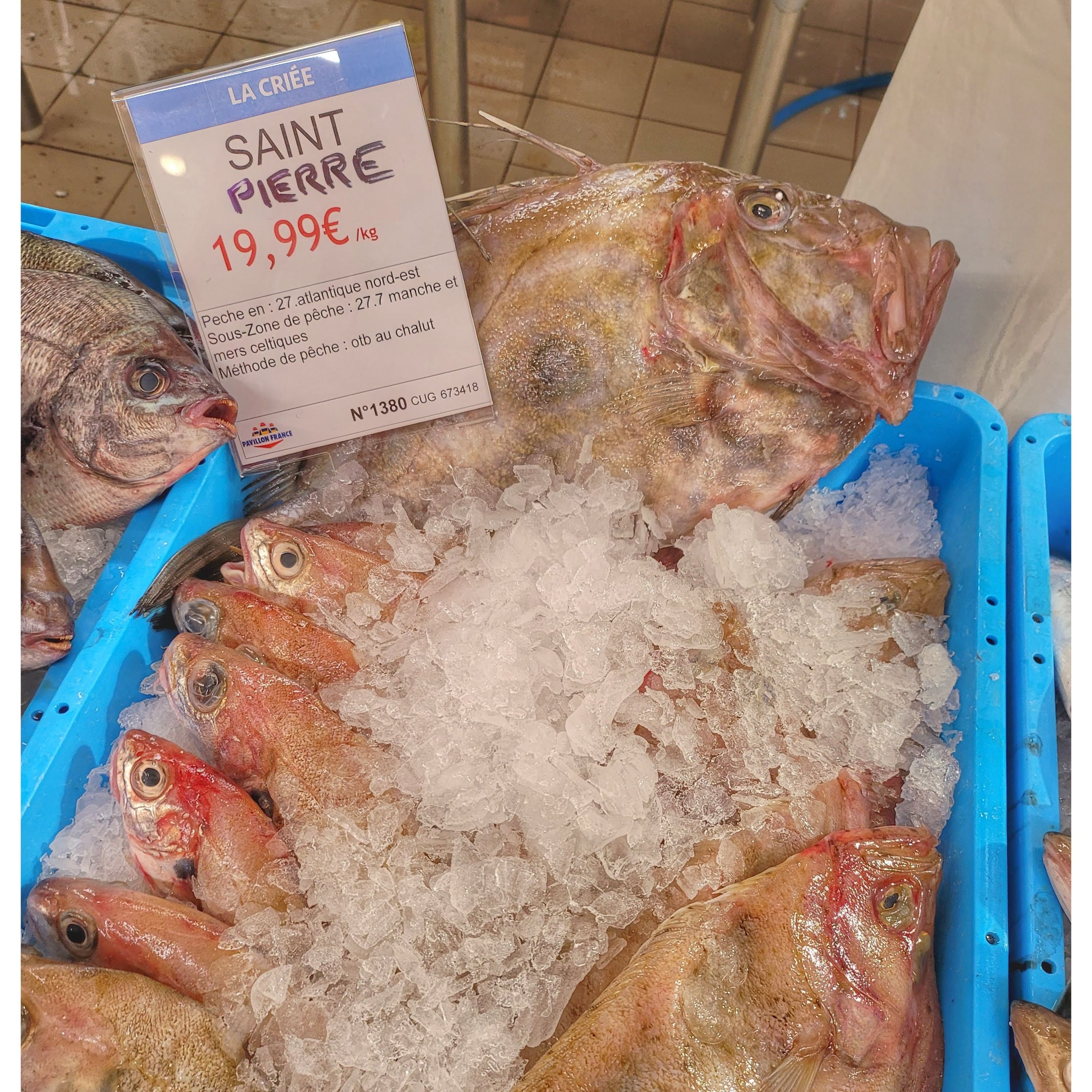 Foto 533 di Auchan Hypermarché Châtellerault