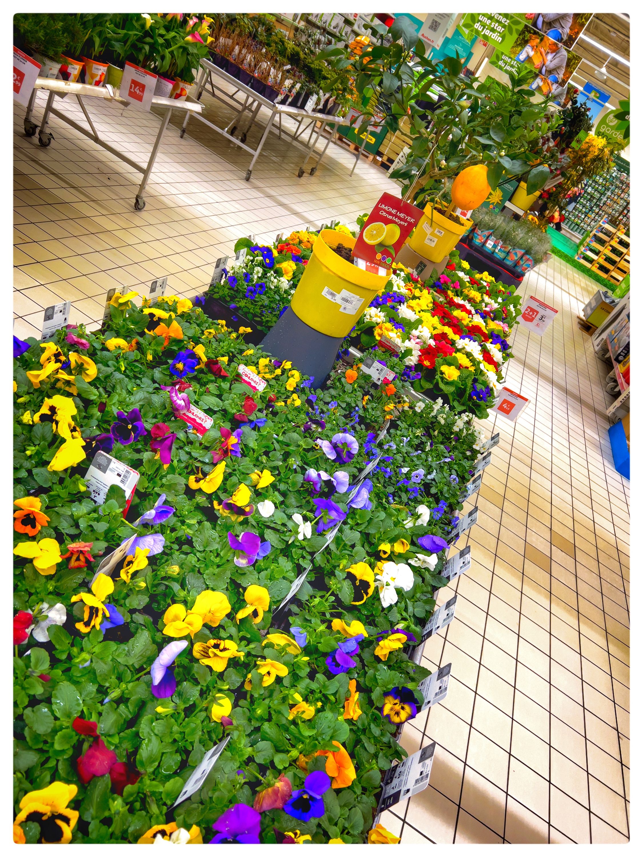 Foto 358 di Auchan Hypermarché Châtellerault