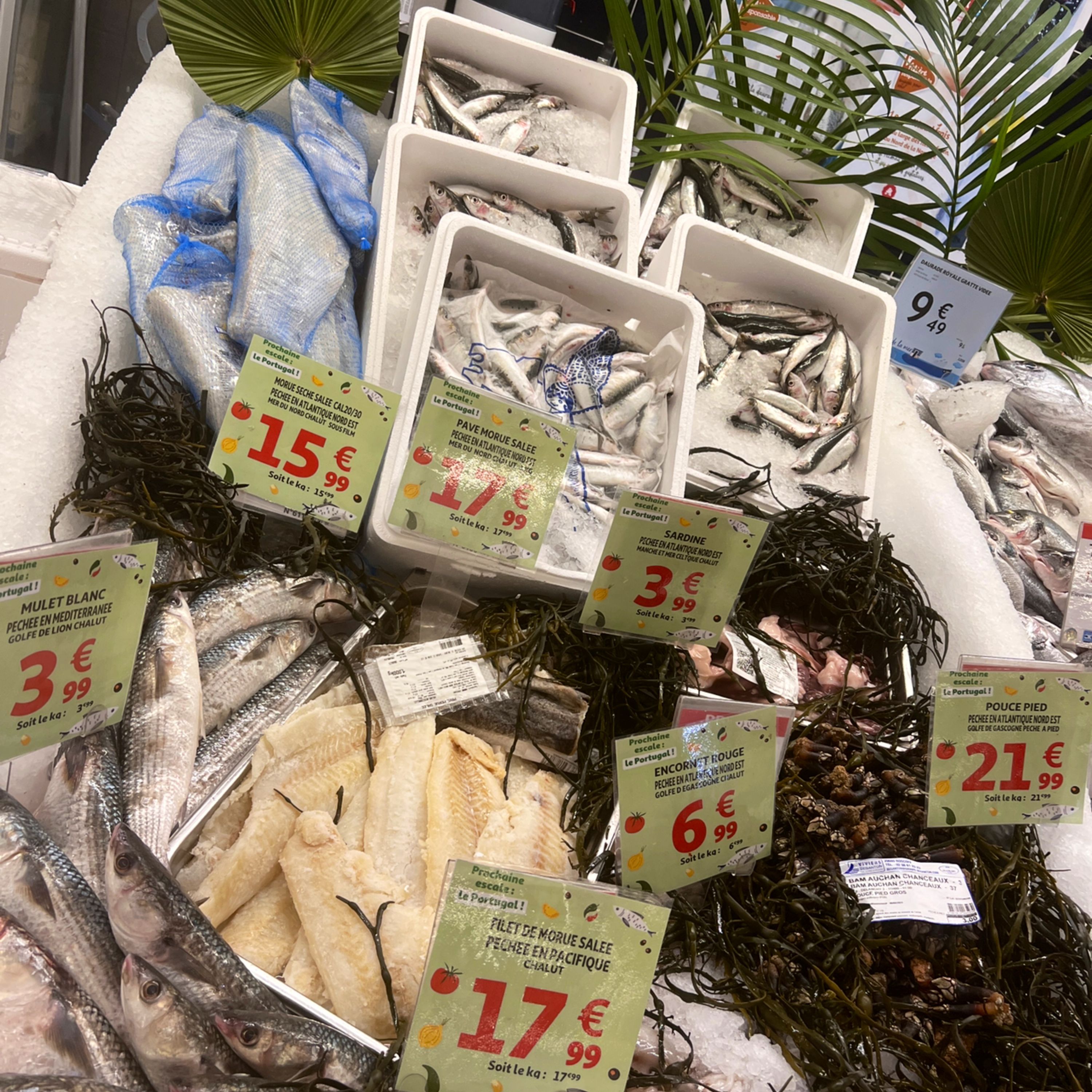 Foto 1345 di Auchan Hypermarché Châtellerault