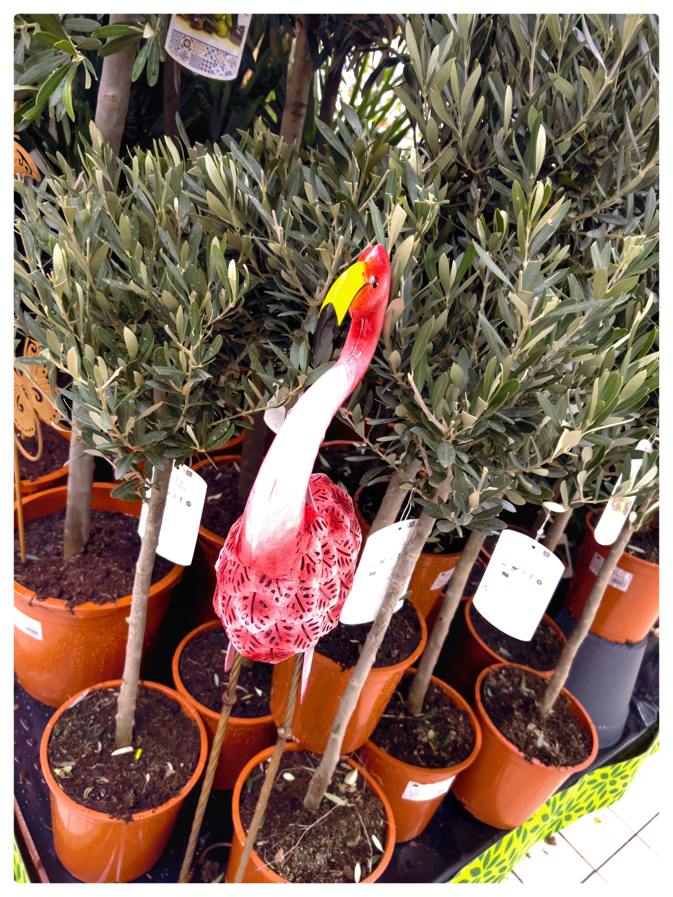 Foto 508 di Auchan Hypermarché Châtellerault