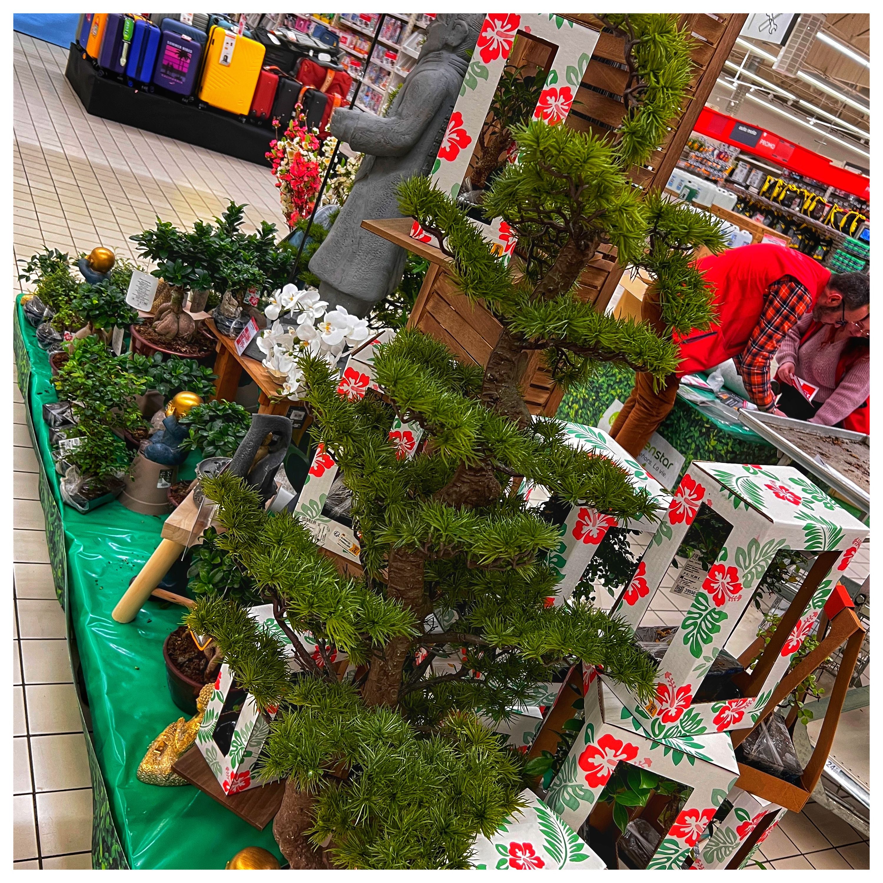 Foto 1155 di Auchan Hypermarché Châtellerault