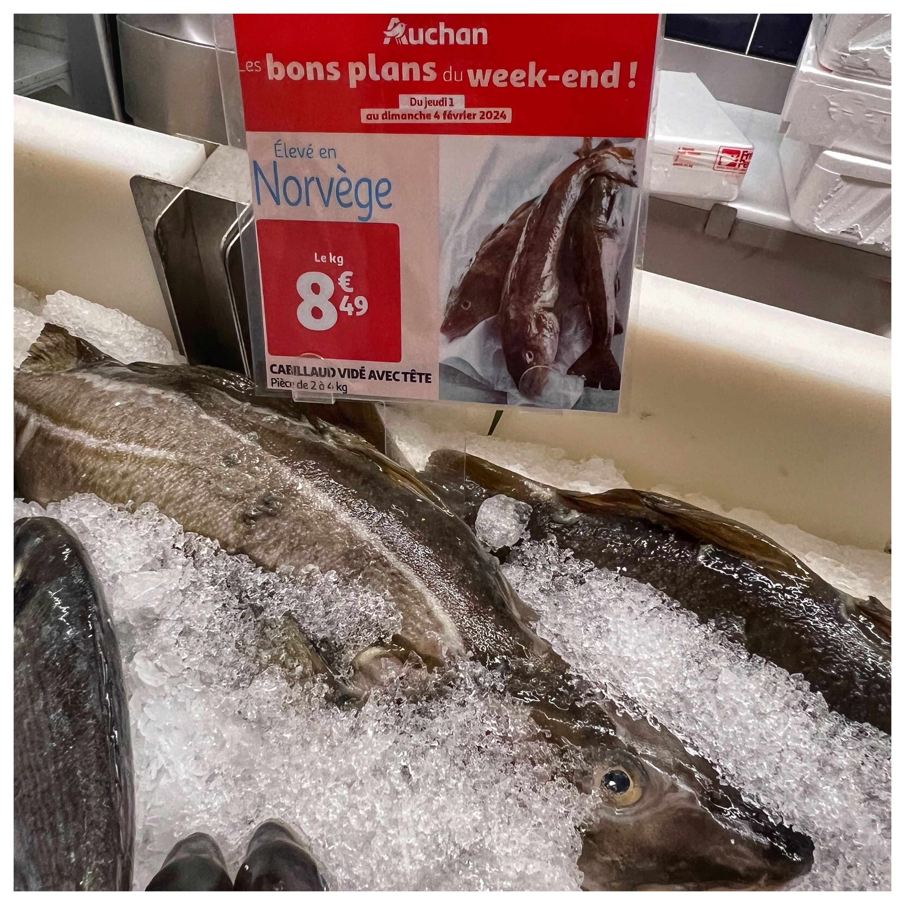 Foto 1129 di Auchan Hypermarché Châtellerault