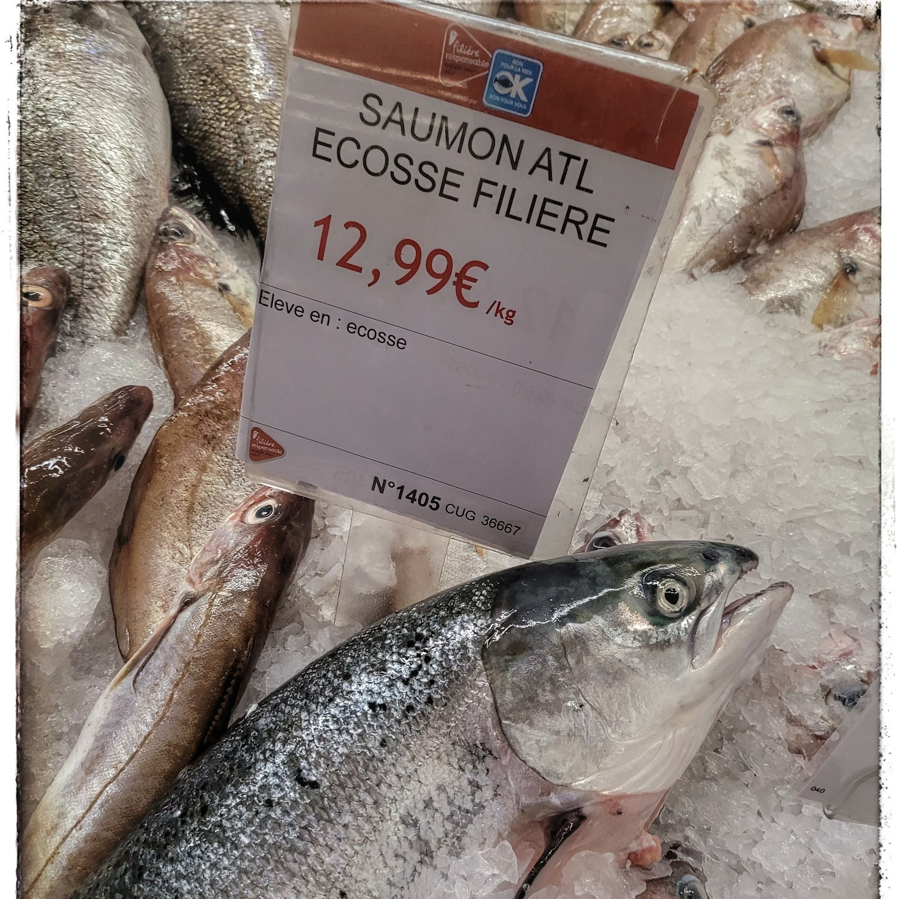 Foto 1900 di Auchan Hypermarché Châtellerault